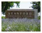 Stanford Shopping